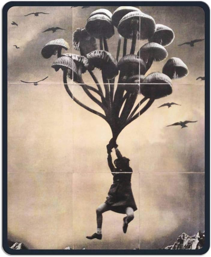 Картина волигамси большая медведица