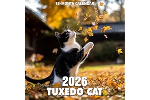 Tuxedo Cat 2026 Calendar: Black-and-white charm in striking feline portraits
