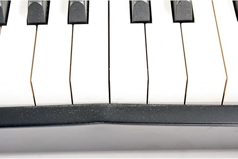 Amazon Com Roland Rd 700nx Musical Instruments