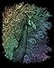 Royal and Langnickel Rainbow Engraving Art, Peacock