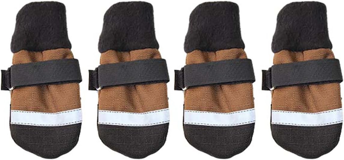 facts about cavapoos