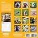 2020 Poodles Calendar 16 Month 12 x 12 Wall Calendar by Bright Day Calendars (Poodles 2019)
