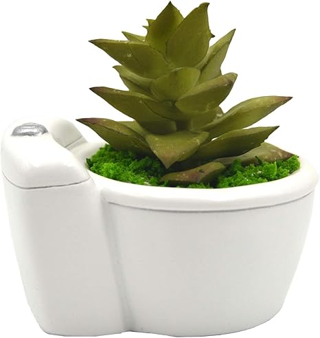 Amazon Monmob ミニ人工多肉植物 フェイク多肉植物 鉢植えトイレ植物 色は異なる場合があります 人工観葉植物 オンライン通販
