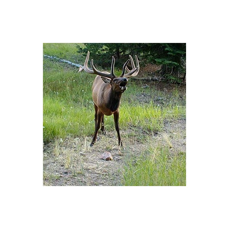 TROPHY ROCK Redmond All Natural Mineral Salt Rock, Deer Lick and Attractant (10 LB) My Gems