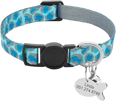 kitten collars and name tags