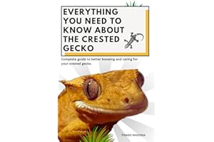 Everything you need to know about the Crested Gecko: Complete guide to better knowing and caring for your crested gecko.