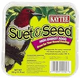 Kaytee Suet Cake Seed Pet Foodm, One Size