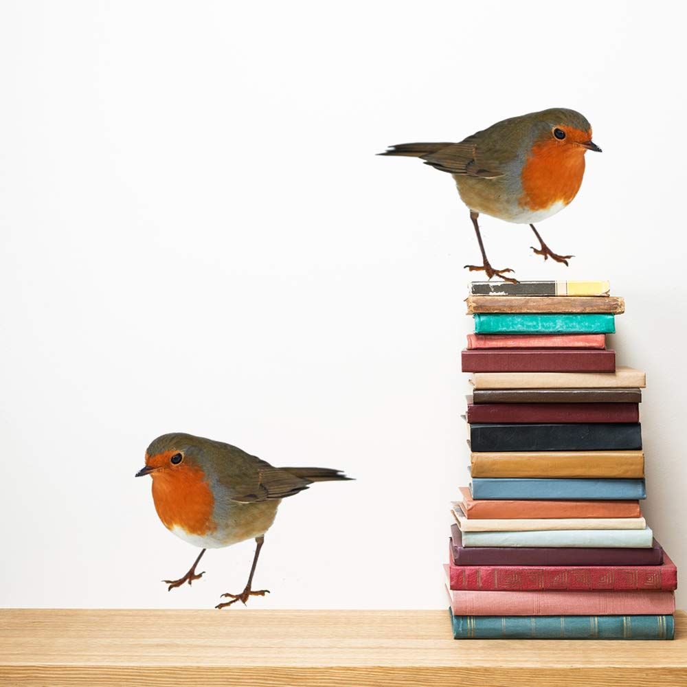 60 Second Makeover Limited Full Colour Set of 2 Robin Wall Stickers Decals Cute Birds Home Interior Decorative Stickers Mural Wall Decoration for Living Room Gift for Bird Lovers