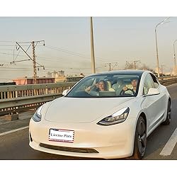 oFloral in God We Trust Aluminum Alloy License