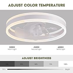 LUDOMIDE Ceiling Fans with Lights and Remote Flush