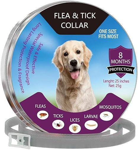 Destinely Collier Antiparasitaire Pour Chiens Collier Anti Puces Et Tiques Natural Essence Oil Pour Chiens Et Chats Avec Anti Tiques Empêche Les