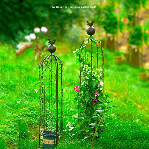 CJSWT Rankhilfe, Rankobelisk,Rankgerüst Kletterpflanzen,Garten Obelisk Metall Trellis Blumenunterstützung Für Klettern… – Bild 7