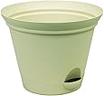 Misco 1154/3-072 Flare Self Watering Planter, 11.5-Inch, Latte