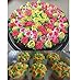 7pcs Russian Piping Tips + 1 Coupler Icing Piping Nozzles Cake Decorating Tips Tulip Rose Nozzle Tip Large Size