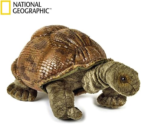 stuffed tortoise