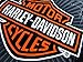 Harley-Davidson Vibe Velour Beach Towel 30 in. X 60 in.