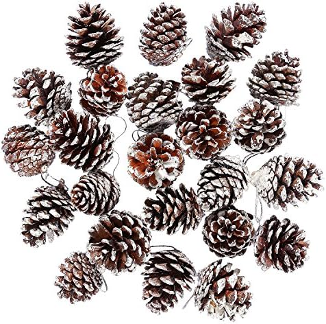 Cooraby 24 Items Christmas Pine Cones Decoration Pure PineCones with String Pendant Crafts for Present Tag Christmas Tree Social gathering Hanging Ornament (Snow)