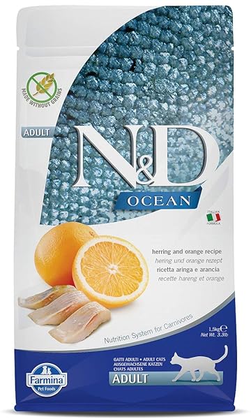 HERRING & ORANGE ADULT