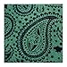 Star Wars Yoda Green Paisley Big Boy's Silk Tie (SW-YDPS-KT-BB)