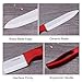 Ceramic Knife Set of 4, Cerahome Steak Knife Rust Proof and Stain Resistant Chef Knife Set Super Sharp Kicthen Knife with Sheath Upgrade Handle