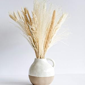 South Pillar - Natural Dried Pampas Grass Bouquet for Home Decor (White and Natural)