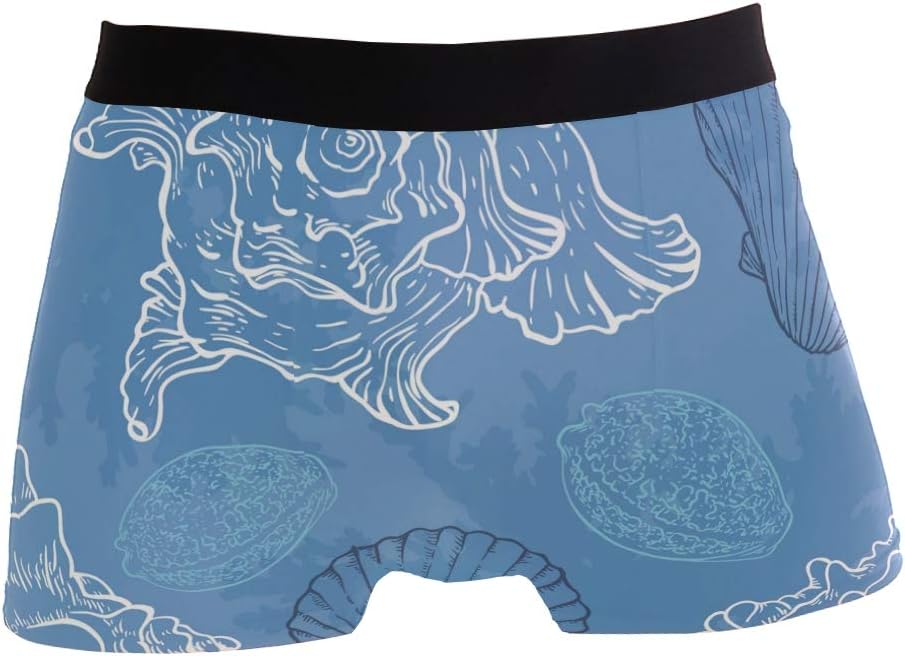 DEZIRO Conch Beach Blue Men's Sport Boxer Brief Underwear
