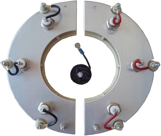 Generator Rectifier Diode RSK5001 with Varistor Garden & Outdoor