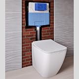 Ideal Standard ProSys Cistern 120mm Depth Pneumatic Front Flush R031867 view 2