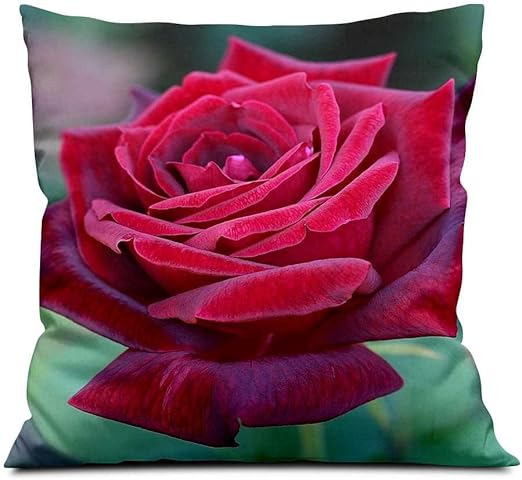 Amazon Com Beautiful Red Rose Flowe Square Soft Cloth Throw