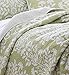 Laura Ashley - Twin Quilt Set, Reversible Cotton Bedding with Matching Sham, Home Decor for All Seasons (Rowland Sage, Twin)