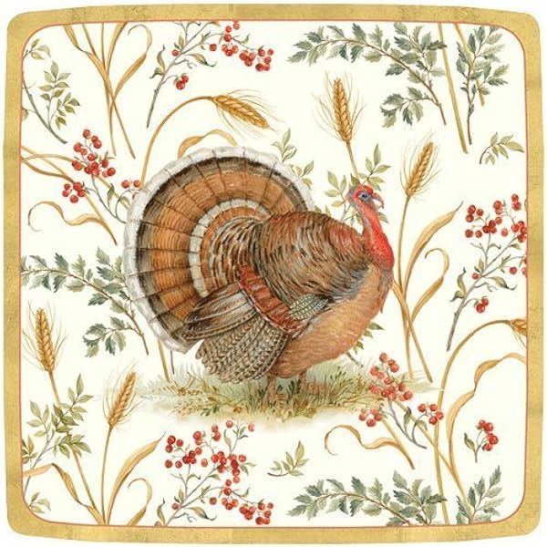 Amazon Com Thanksgiving Paper Plates Thanksgiving Dinner Plates Thanksgiving Table Decor Turkey Plates Pk 16 Home Kitchen