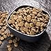 CRAVE Grain Free Indoor Adult High Protein Natural Dry Cat Food with Protein from Chicken & Salmon, 4 lb. Bag