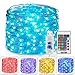 Homestarry Fairy String Remote Firefly Twinkle Multicolor, 33 ft 100 LED's,USB Plug-in, Silver Wire, Waterproof Lights for Bedroom Party Decoration Wedding, 16 Colors Option