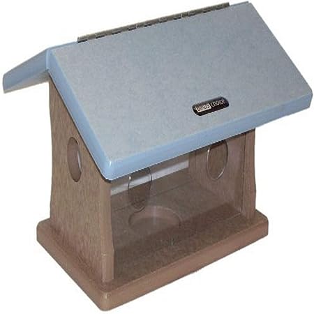 Amazon Com Birds Choice Bluebird Mealworm Feeder Suet Bird