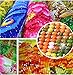 5D Diamond Painting Full Drill Diamond Art Kits for Adults Colorful Butterflies DIY Diamonds Embroidery for Wall Decor (11.8X15.7inch)
