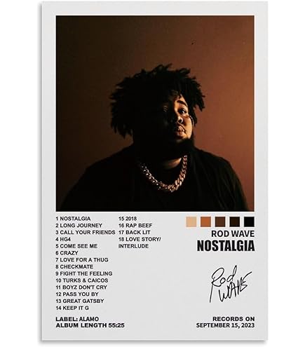 Amazon.com: VORPHY Rod Wave Beautiful Mind Music Album Poster HD