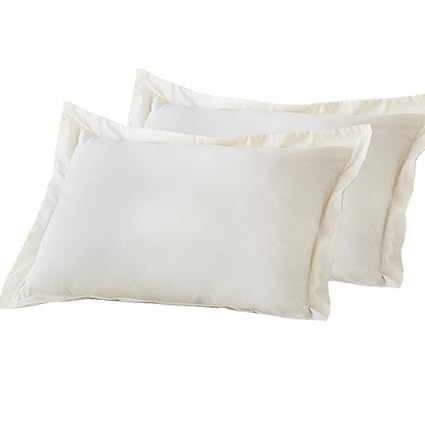 Continental European Square Pillow Bedding Pillows Pillows 2 X