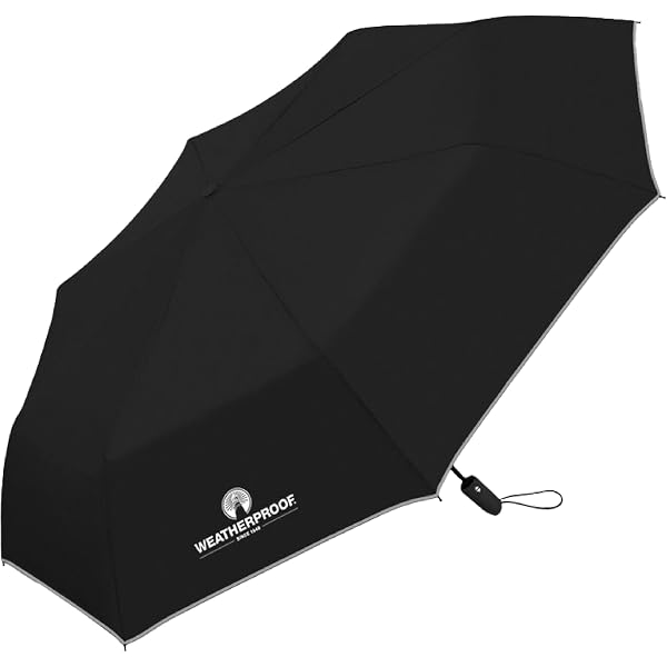 Amazon.com | Weatherproof Deluxe Automatic Rain Umbrella, Compact