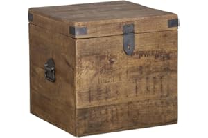 Kosas Home Livingston 18" Square Solid Mango Wood & Iron Trunk in Natural Brown