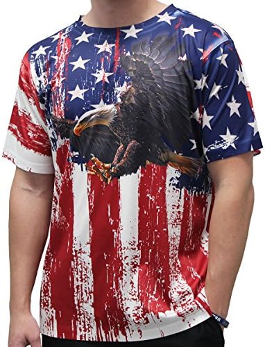 Ameican SummerAmerican Flag and Eagle Men's T-Shirt