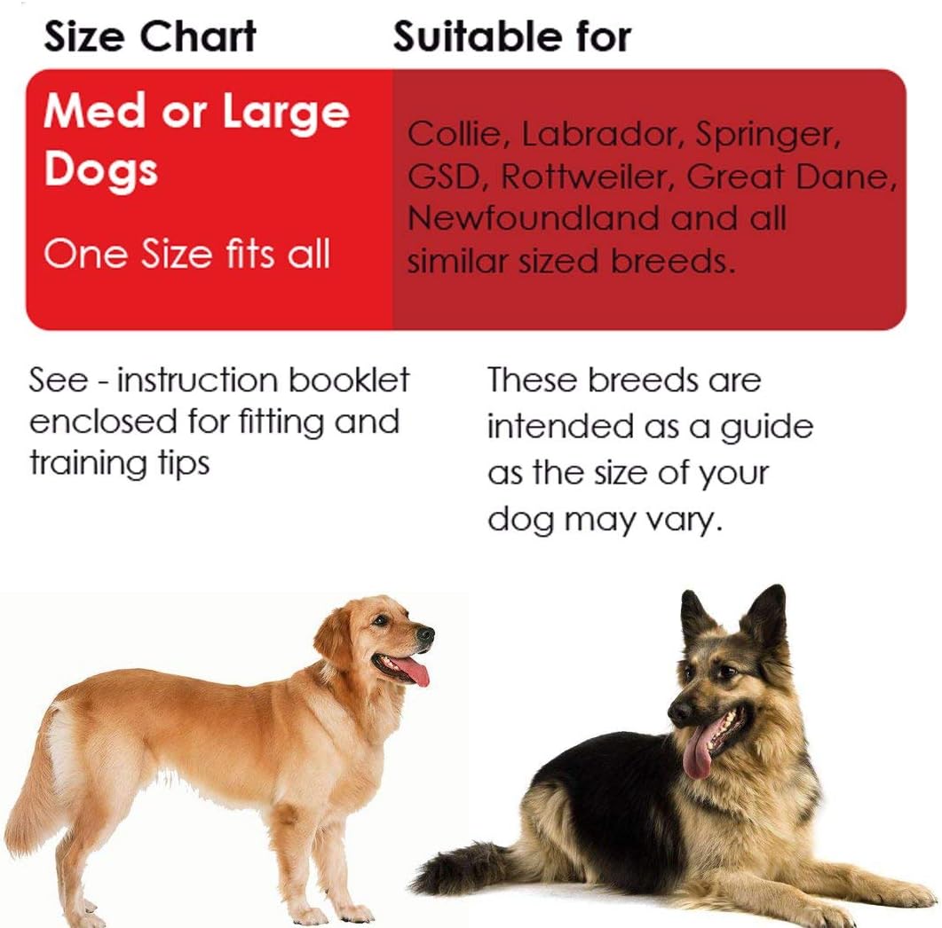 kumfi calmer dog lead