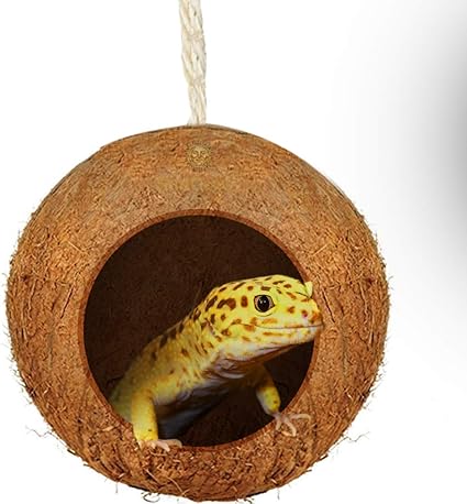 Amazon Com Sungrow Gecko Coconut Bird Hut 4 5 Inches Nesting
