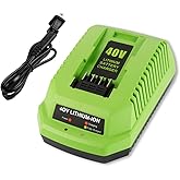 Bakipante 40V Charger Replacement for Greenworks 40 Volt Battery Charger Lithium Ion 29482 29252 20202 22262 29472 29462 Compatible with 40V G-MAX Power Tools (Not for 29662)