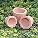 G & F Products G & F Garden Miniature Fairy Garden Tiny Pots (Set of 3), Orange …