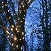 Twinkling LED Fairy String Lights - Fully Waterproof, Indoor Outdoor 39ft 100 Bulb, Standard Plug In + Battery Powered, Warm White Copper Wire Decorative Lighting with Remote Control