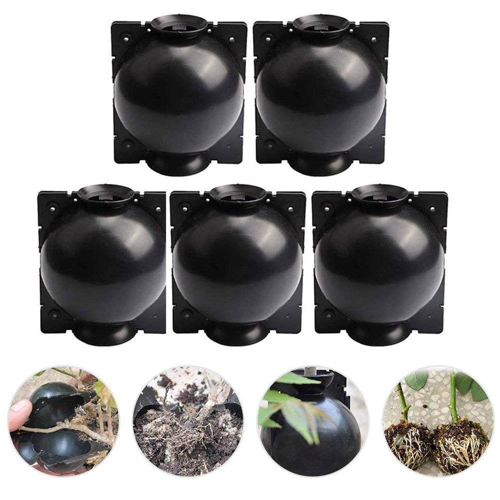 BestTas 3PCS Plant Rooting Device, Reusable High Pressure Propagation Ball Plant Rooting Ball for Garden Grafting Rooting Growing Breeding (5pcs M, Black)