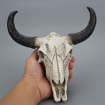 Amazon Com Yothg Bull Skull Wall Sculpture Durable Resin
