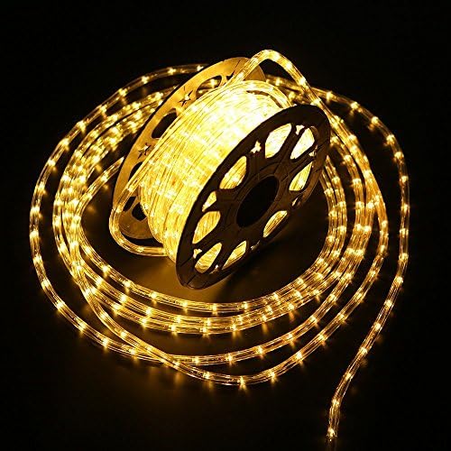 YULIANG 100 feet 1/2" Thick 110V 2-Wire Waterproof LED Rope Light Kit for Background Lighting Christmas Lighting,Bridges,Eaves with UL Certified (100ft/30M)