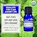 Organic, Patchouli Oil - Premium 100% Pure, USDA Organic, Natural Therapeutic Grade, baby-oils, hair-treatment-oils, body-oils, facial-oils, scented-oils (10 ml)