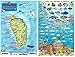 Dominica Dive Map & Coral Reef Creatures Guide Franko Maps Laminated Fish Card